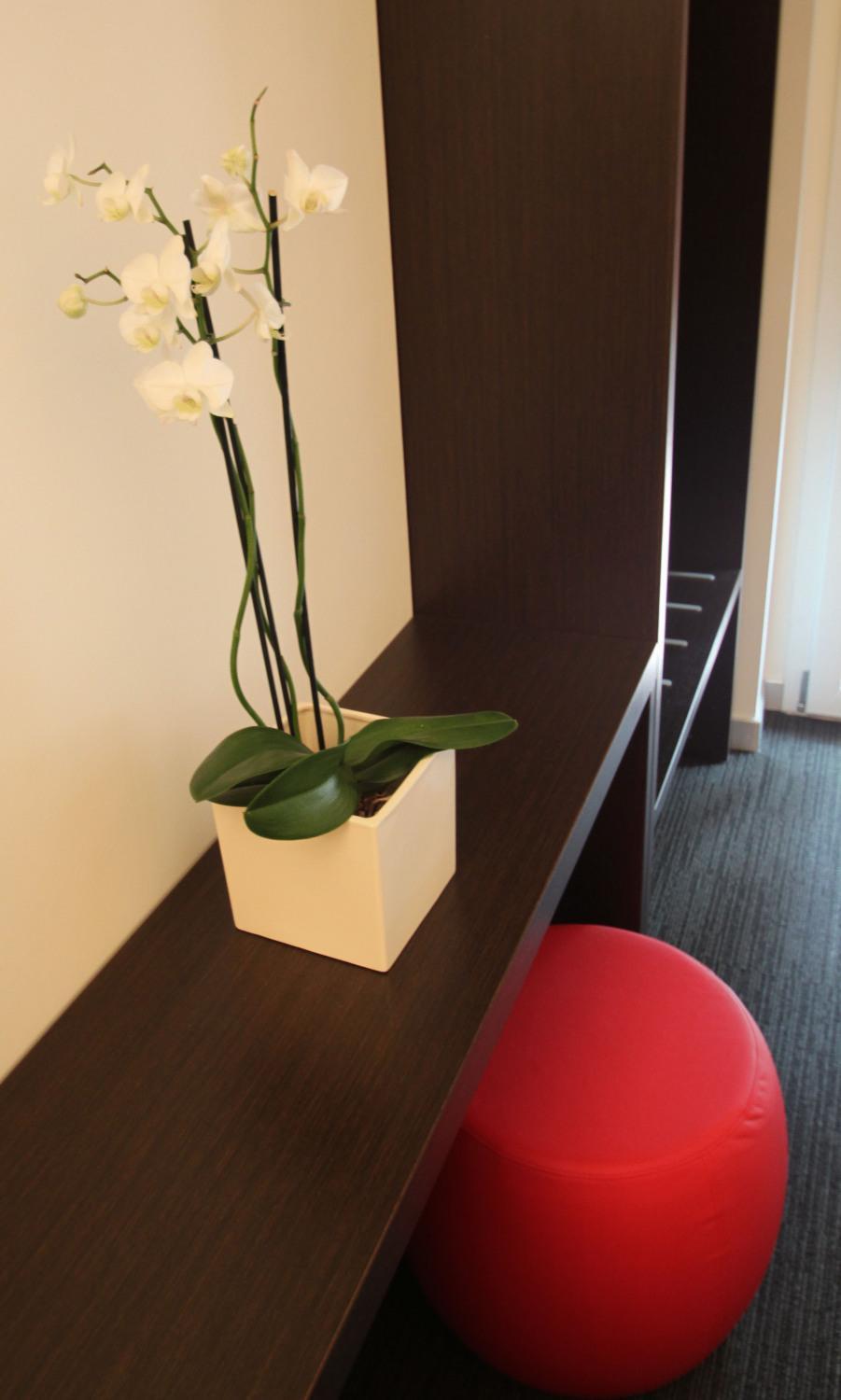 Hotel Firenze Saronno Extérieur photo